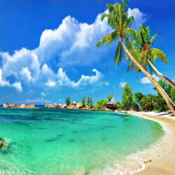 goa-banner.jpe700
