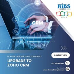 Zoho Crm (2)