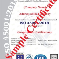 ISO_450012018_1_optimized_250