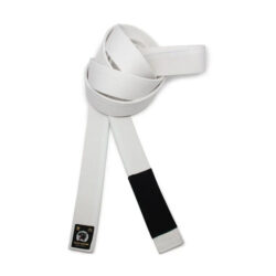 BJJ Belt Guide