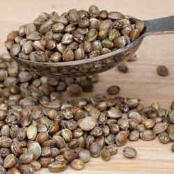 Order Marijuana Seeds Online