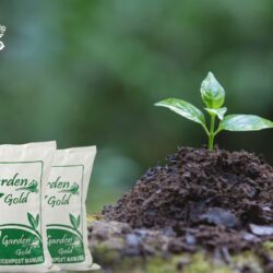 process of vermicompost