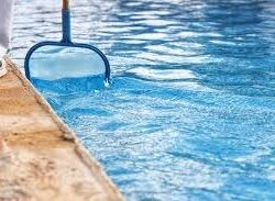 images (1)