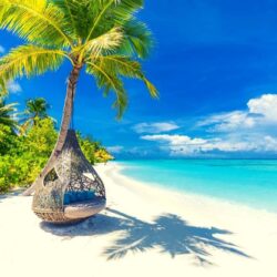 White-sand-and-turquoise-waters-of-the-Maldives