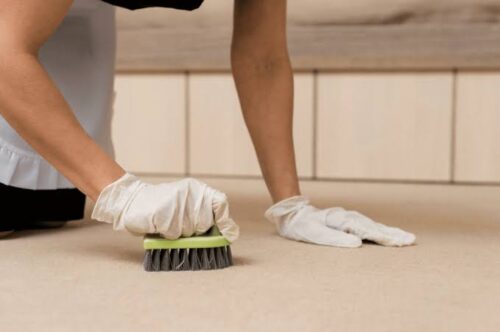 vomit clean vomit clean