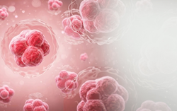 Blood Cancer resize