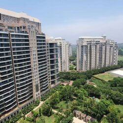 DLF The Magnolias