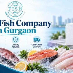 Raw Fish Company in Gurgaon