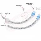 endotracheal tube