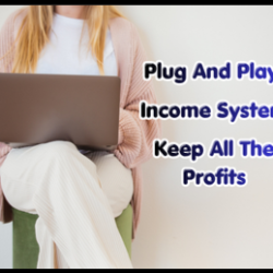 income system