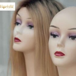 human-hair-wigs-in-los-angeles_11zon