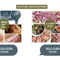 Pasture-Raised Pork Guide _ Whole & Half Hogs – Melvin Hill Meats
