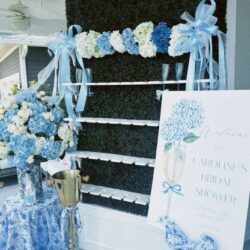 Elegant Bridal Shower Design in Washington, DC for Special Days