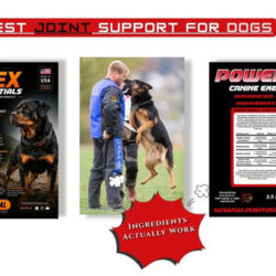 joint support for dogs