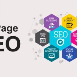 imgi_274_on-page-seo-surgeonsadvisor-00