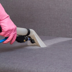 Professional-Upholstery-Cleaning