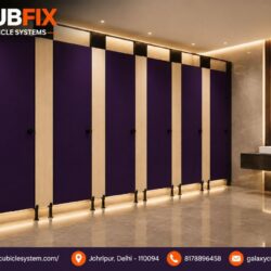 Toilet-Cubicle-Manufacturer (4)