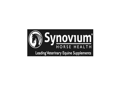 synovium synovium