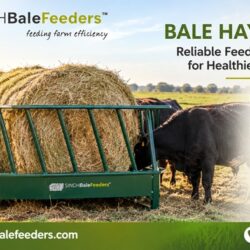 Bale Hay Feeder for Efficient Livestock Feeding