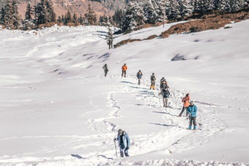 Kuari pass trek cost Kuari pass trek cost