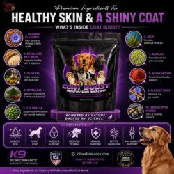 Skin Supplements for Dogs _ Omega 3 for Dogs – K9 Performance