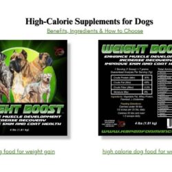 High-Calorie Supplements for Dogs_ Benefits & How to Choose – K9 Performance