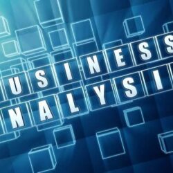 BUSINESS ANALAYST