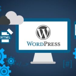 imgi_179_wordpress-development-services-1