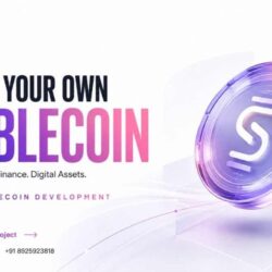 Stablecoin Development Company -50kb