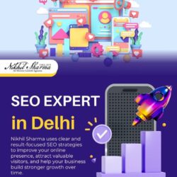 seo  expert in delhi