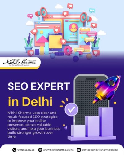 seo expert in delhi seo expert in delhi