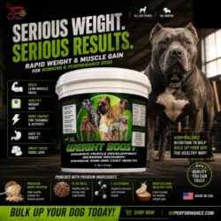 Weight Gainer for Dogs _ High-Calorie Dog Supplement – K9 Performance