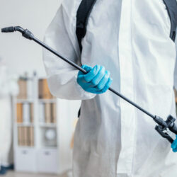 pest control 1 (1)