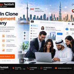 LinkedIn Clone Development Company  Custom Networking Solutions
