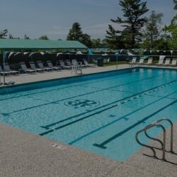 1 pool management company