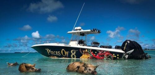 Bahamas boat tour with pigs Bahamas boat tour with pigs