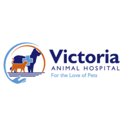 Victoria Animal Hospital (1)