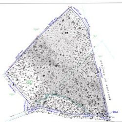 Screenshot_1