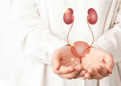 Nephrology_b018d16754