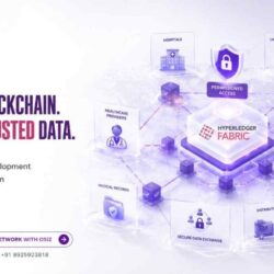 Hyperledger Blockchain Development Compan-50kb
