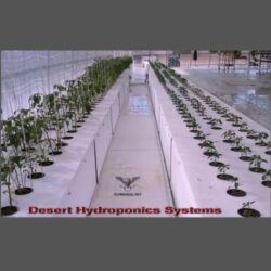 hydroponic water treatment