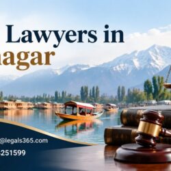 Best Lawyers in Srinagar0