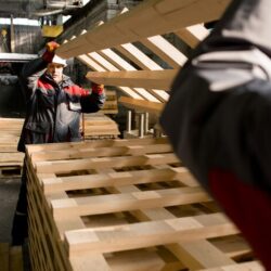 factory-workers-moving-pellets-plant_236854-10155
