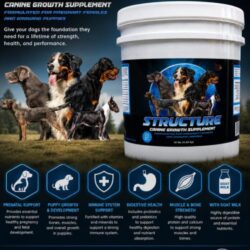 Prenatal Vitamins for Dogs _ Canine Pregnancy Support – K9 Performance