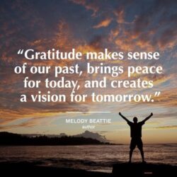 gratitude-quote-featured-image_optimized_100