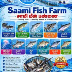 sami fish farm (1)