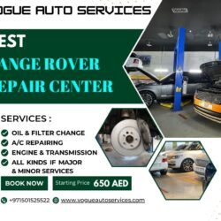 VOGUE AUTO SERVICES (31)