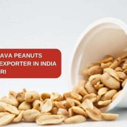Blanched Java Peanuts Supplier & Exporter in India