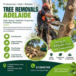 Professional Tree Removals Adelaide for Safe, Reliable Property Care