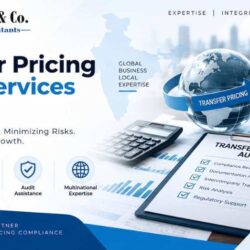 Transfer pricing audit services in India